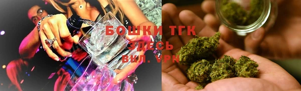 прущие грибы Аркадак