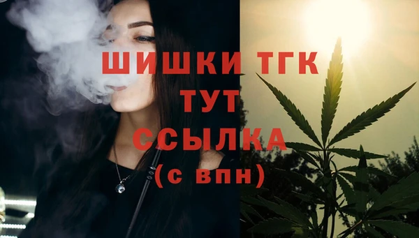 прущие грибы Аркадак