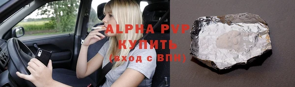 прущие грибы Аркадак