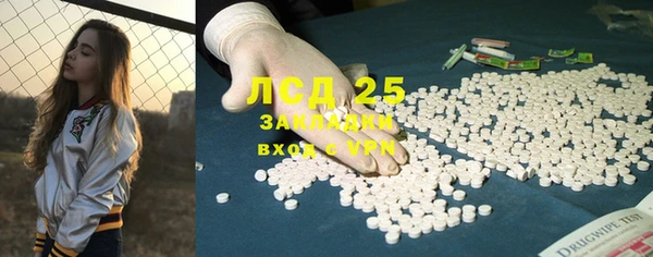прущие грибы Аркадак