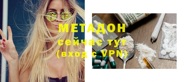 прущие грибы Аркадак