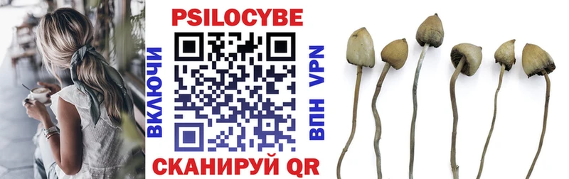 Псилоцибиновые грибы GOLDEN TEACHER  Купить закладки  Вязники 