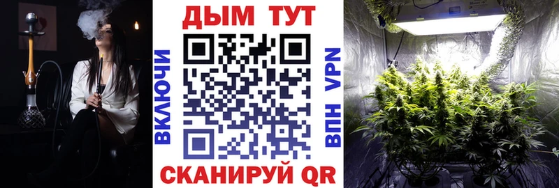 Каннабис гибрид  Купить где  Вязники 
